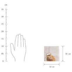 Sous-verre PRECIOUS -Produits Menagers 1000337011 230623 500 SKETCH DETAILS P000000001000337011 sketch