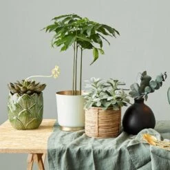 Vase MIO -Produits Menagers 1000337859 220225 021 MOOD DETAILS P000000001000337859 mood