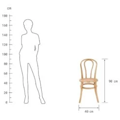 Chaises WIENER MELANGE (lot De 2) -Produits Menagers 1000344071 220406 500 SKETCH DETAILS P000000001000344071 sketch