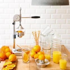 Presse à Fruits MENUETT -Produits Menagers 1000364213 220719 022 MOOD DETAILS P000000001000364213 mood