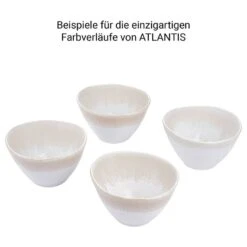 Bols ATLANTIS - Lot De 4 -Produits Menagers 1000386132 230601 060 DETAILS P000000001000386132