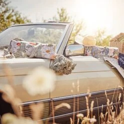 Nappe De Pique-nique BETWEEN FLOWERS 20 Nappe De Pique-nique BETWEEN FLOWERS -Produits Menagers 1000399329 230801 025 MOOD DETAILS P000000001000399329 mood